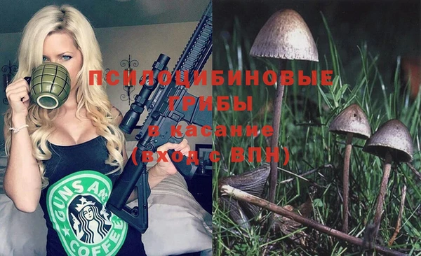 каннабис Осташков